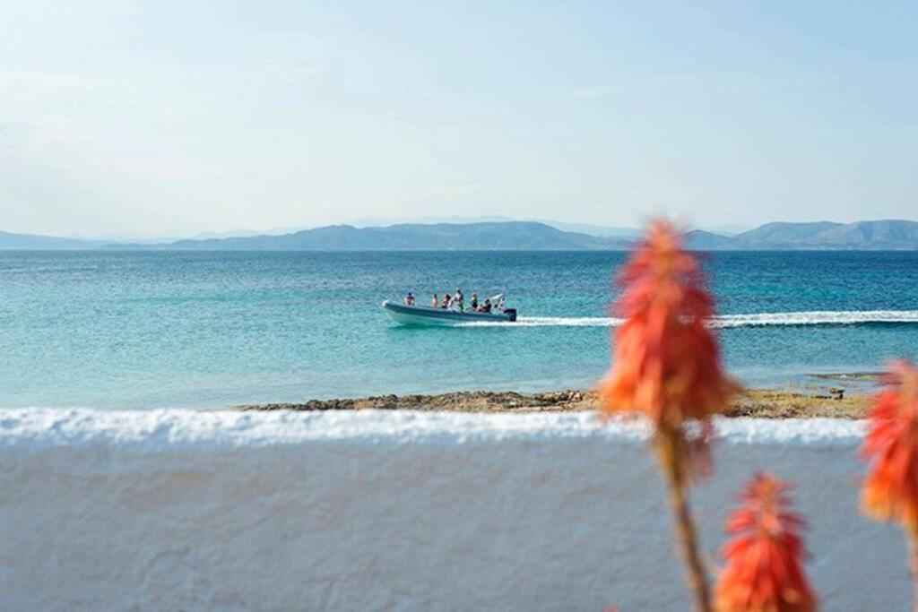 Palmaya Villa, Unique Seafront Experience Vagia  ภายนอก รูปภาพ