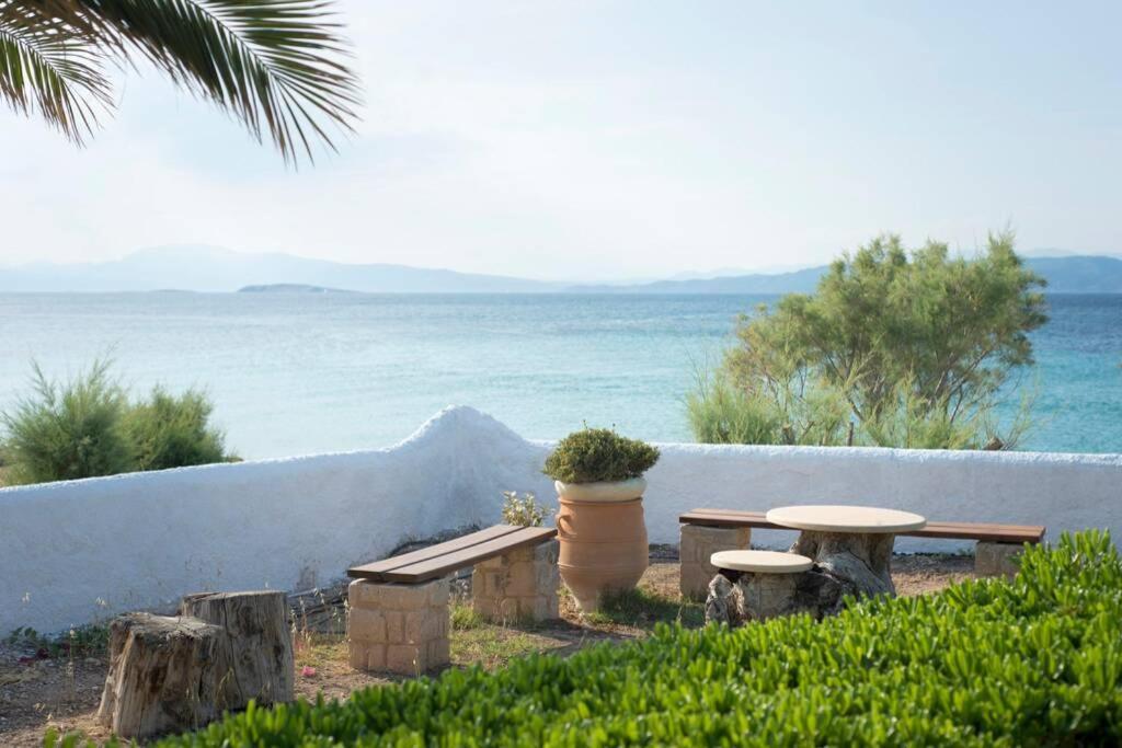 Palmaya Villa, Unique Seafront Experience Vagia  ภายนอก รูปภาพ